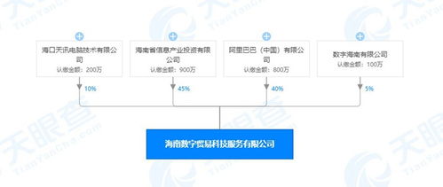 海南數(shù)字貿(mào)易科技服務公司成立，阿里巴巴持股40%引領數(shù)字技術服務新浪潮
